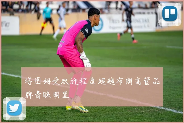 塔图姆受欢迎程度超越布朗高管品牌青睐明显